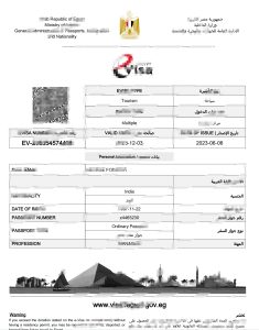 埃及电子入境​​签证Word和PDF模板Egypt electronic entry visa Word And PDF template-帮司令