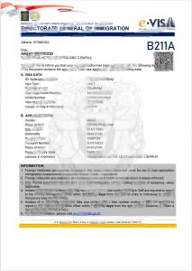 印度尼西亚电子签证Word和PDF模板Indonesia electronic visa Word And PDF Template-帮司令