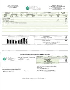 美国德克萨斯州东部电力账单模板USA Deep East Texas ElectricUtility Bill Template-帮司令