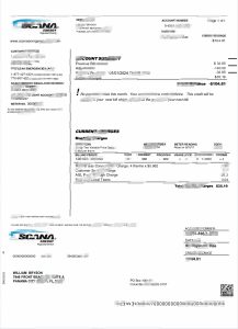 美国 SCANA 能源监管部门账单模板USA SCANA Energy RegulatedDivision Billing StatementTemplate-帮司令