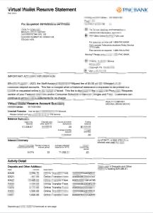 PNC银行虚拟钱包储备声明Word和PDF模板PNC Bank Virtual Wallet ReserveStatement Word And PDFTemplate-帮司令