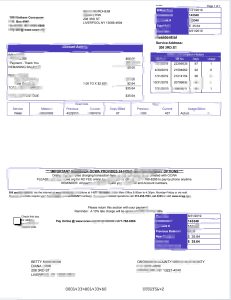 美国南卡罗来纳州萨姆特水费USA South Carolina SumterWater Bill-帮司令