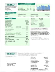英国百慕大 BELCO 公用事业账单模板UK Bermuda  BELCO Utility Bill Template-帮司令