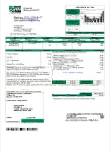 美国 Coles – Moultrie 公用事业账单模板（Word 和 PDF 格式）USA Coles – Moultrie Utility Bill Template In Word And PDF Format-帮司令