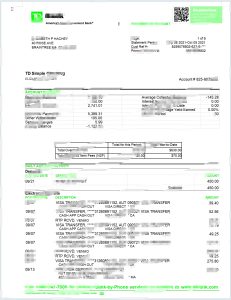 道明银行简易支票报表模板TD Bank Simple Checking Statement Template-帮司令