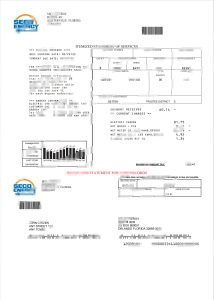 美国佛罗里达州 Seco Energy 公用事业账单模板（Word 和 PDF 格式）USA Florida Seco Energy Utility Bill Template In Word And PDF Format-帮司令