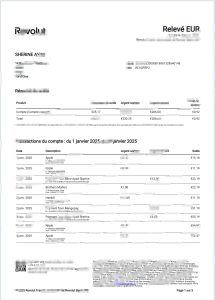法国 Revolut 账户报表模板France Revolut account statement template-帮司令