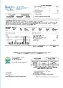 美国佛罗里达州佛罗里达群岛水电费账单模板（Word 和 PDF 格式）USA Florida Florida Keys Utility Bill Template In Word And PDF Format-帮司令
