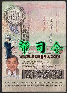 马里护照psd模板Mali passport psd Template-帮司令