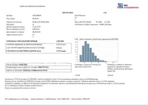 塞尔维亚电力账单模板（Word 和 PDF 格式）Serbia Electricity Utility Bill Template In Word And PDF Format-帮司令