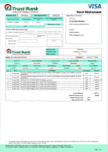 信托银行 Visa 卡结算单模板Trust Bank Visa card Statement Template-帮司令