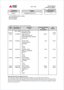 马来西亚农业银行账单pdf模板Agricultural Bank of Malaysia statement pdf template-帮司令