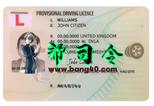 英国临时驾照PS/PSD模板UK Temporary Driving License PS/PSD Template-帮司令