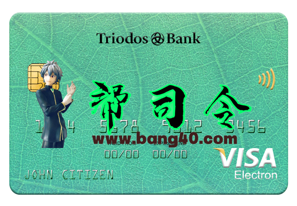 荷兰 Triodos 银行 Visa Electron 卡 PSD 模板