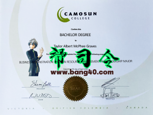 卡莫森学院证书模板Camosun College Certificate Template-帮司令