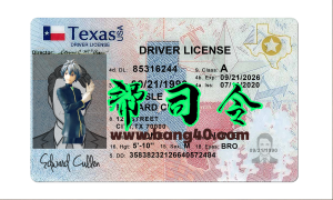 美国德克萨斯州最新版驾驶证/驾照高质量PSD模板/Photoshop/PS（2022版）The latest version of the US Texas driver's license / driver's license high-quality PSD template / Photoshop / PS (2022 version)-帮司令