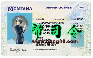 美国蒙大拿州Montana DL驾驶证/驾照高质量PSD/PS/Photoshop模板Montana DL driver's license high quality PSD/PS/Photoshop template-帮司令