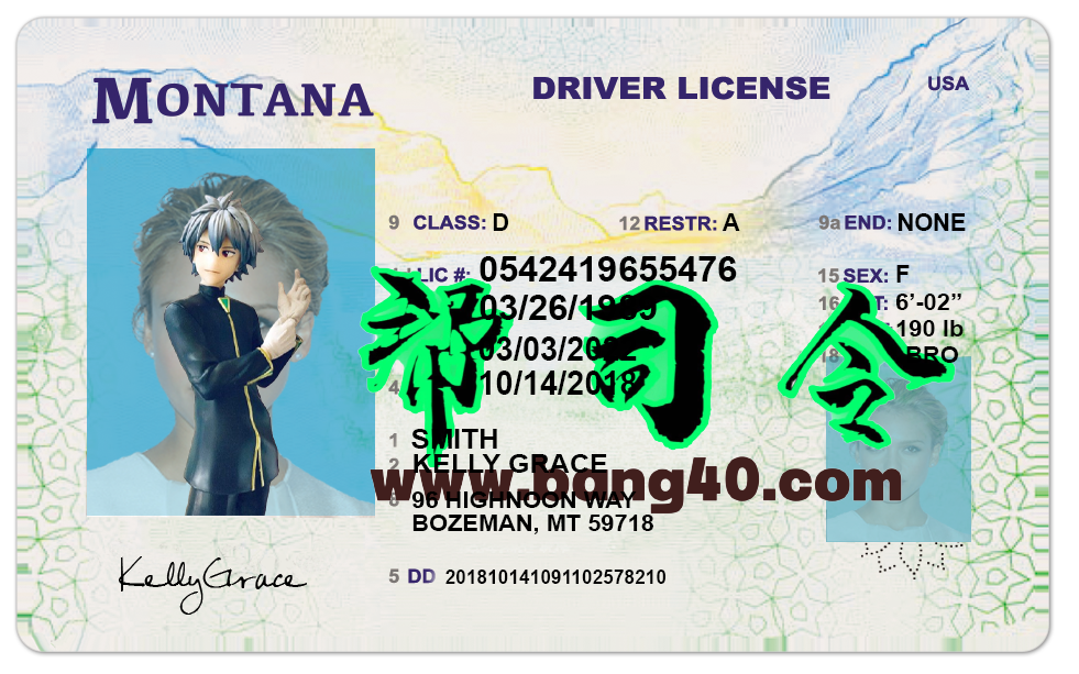 美国蒙大拿州Montana DL驾驶证/驾照高质量PSD/PS/Photoshop模板