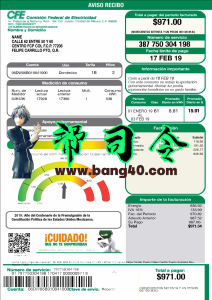 墨西哥 CFE Power 公用事业账单地址证明模板Mexico CFE Power utility bill proof of address Template-帮司令