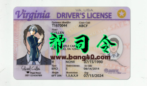 美国弗吉尼亚州Virginia DL驾驶证/驾照高质量PSD模板/Photoshop/PSVirginia DL driver's license / license high quality PSD template / Photoshop / PS-帮司令