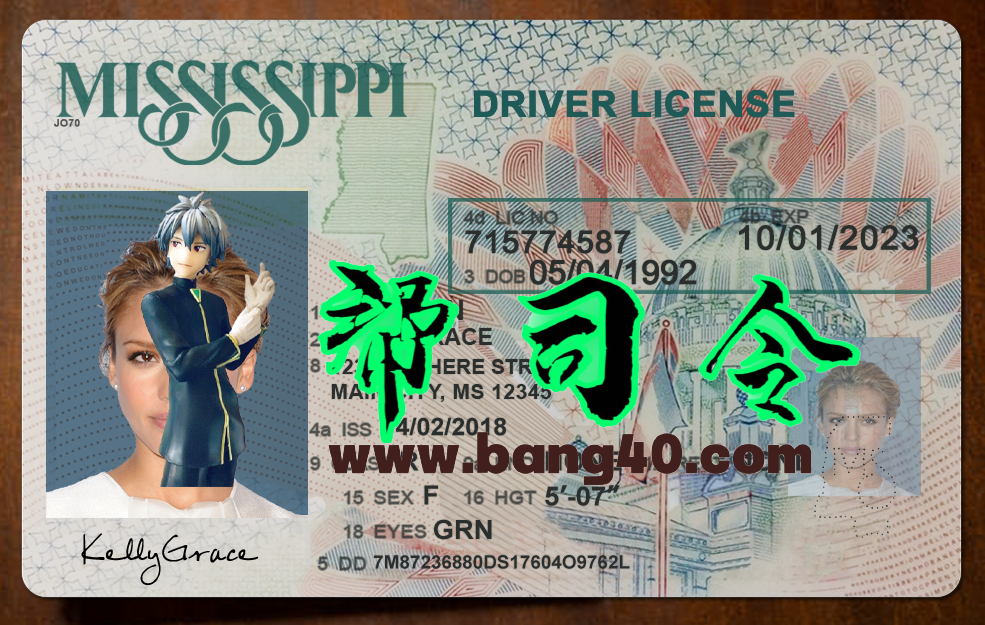 美国密西西比州Mississippi DL新版驾驶证/驾照高质量PSD模板/PS/Photoshop