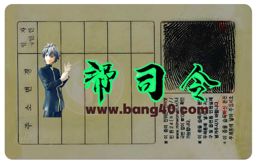 图片[2]-韩国身份证PSD模板