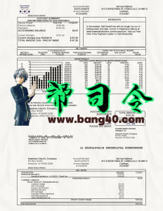 美国夏威夷水电费账单/地址证明PS/PSD模板Hawaii utility bill / proof of address PS / PSD template-帮司令