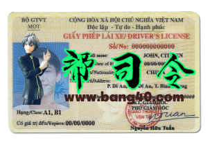 越南驾照/驾驶证PSD模板 (V2)Vietnam Driver's License PSD Template (V2)-帮司令