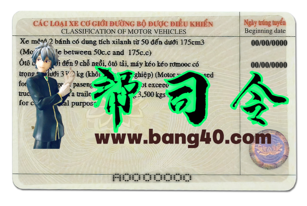 图片[2]-越南驾照/驾驶证PSD模板 (V2)