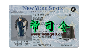 美国纽约州新版驾驶证/驾照高质量PSD模板/Photoshop/PS（V3版）New York State Driver's License High Quality PSD Template/Photoshop/PS (V3 Version)-帮司令