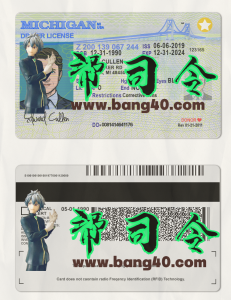 美国密歇根州Michigan DL驾驶证/驾照高质量PSD模板/PS/Photoshop（扫描件版）Michigan DL driver's license / license high quality PSD template / PS / Photoshop (scanned version)-帮司令