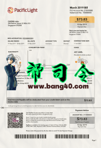 新加坡宽带/话费账单PS/PSD模板Singapore Broadband/Phone Bill PS/PSD Template-帮司令