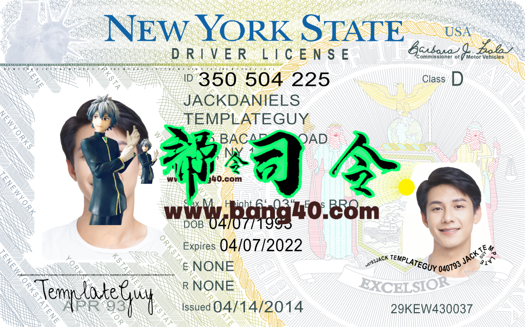 美国|纽约州驾照/驾驶证PSD/Photoshop/PS模板(打印版)-新版V1