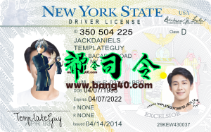 美国|纽约州驾照/驾驶证PSD/Photoshop/PS模板(打印版)-新版V1USA | New York State Driver's License / Driver's License PSD / Photoshop / PS Template (Print Version) - New Version V1-帮司令