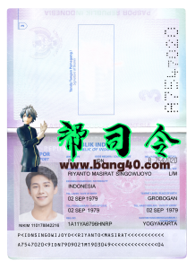 印度尼西亚/印尼护照PS/Photoshop/PSD模板Indonesia Passport PS/Photoshop/PSD Template-帮司令