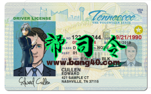 美国田纳西州Tennessee DL新版驾驶证/驾照高质量PSD模板/Photoshop/PSTennessee DL new driver's license / driver's license high quality PSD template / Photoshop / PS-帮司令