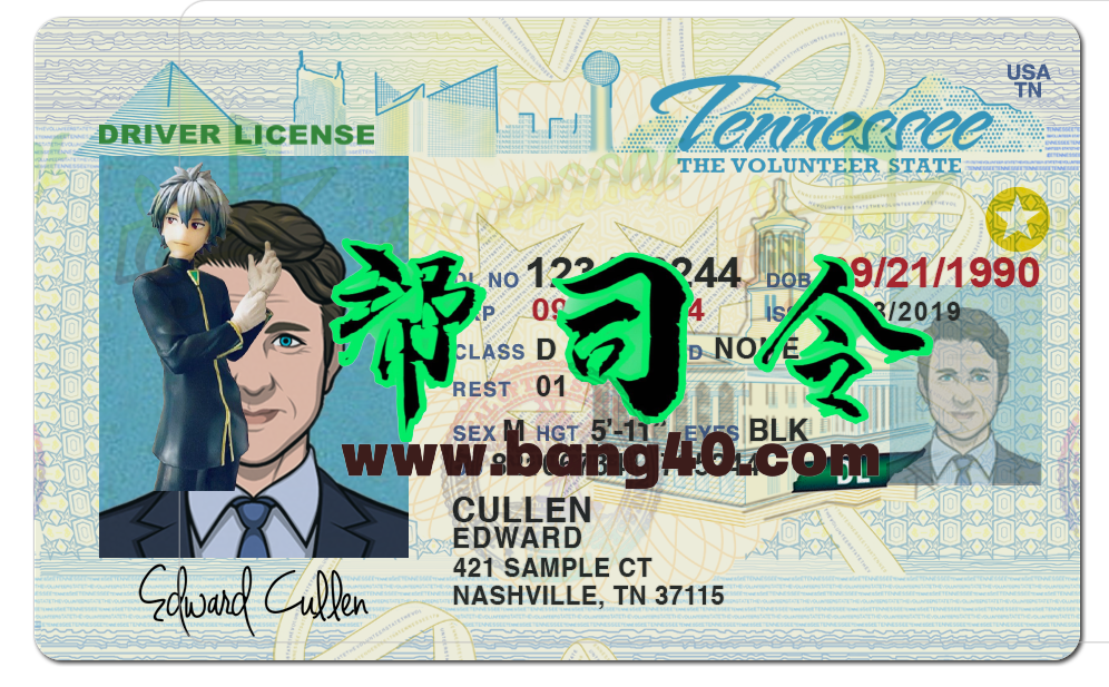 美国田纳西州Tennessee DL新版驾驶证/驾照高质量PSD模板/Photoshop/PS