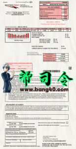 美国怀俄明州水电费账单PS/PSD模板Wyoming Utility Bill PS/PSD Template-帮司令