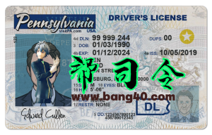 美国宾夕法尼亚驾照/驾驶证PS/PSD模板(NEW)US Pennsylvania Driver's License PS/PSD Template (NEW)-帮司令