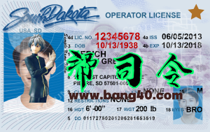 南达科他州驾照/驾驶证PSD/Photoshop/PS模板(打印版)South Dakota Driver's License PSD/Photoshop/PS Template (Print Version)-帮司令