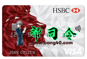 美国汇丰银行 Visa 信用卡模板HSBC Bank USA Visa Credit Card Template-帮司令