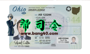 美国俄亥俄州驾驶证/驾照高质量PSD/Photoshop/PS模板Ohio driver's license high quality PSD/Photoshop/PS template-帮司令