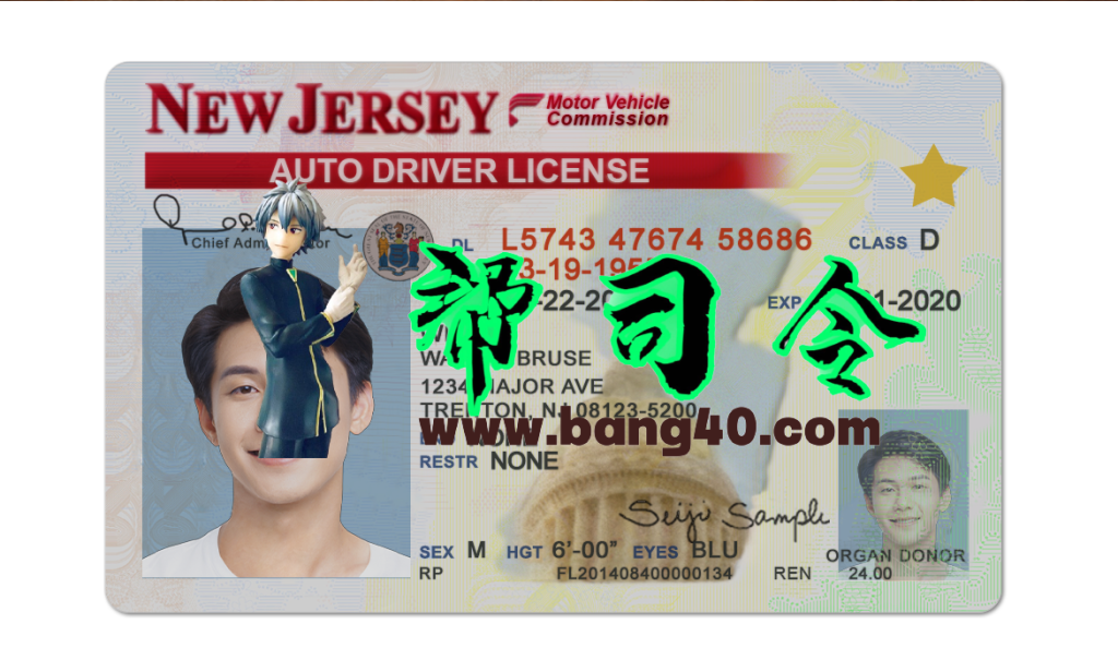 美国新泽西州驾照/驾驶证PS/PSD模板(V2)