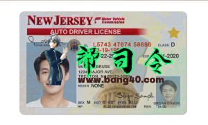 美国新泽西州驾照/驾驶证PS/PSD模板(V2)New Jersey Driver's License PS/PSD Template (V2)-帮司令