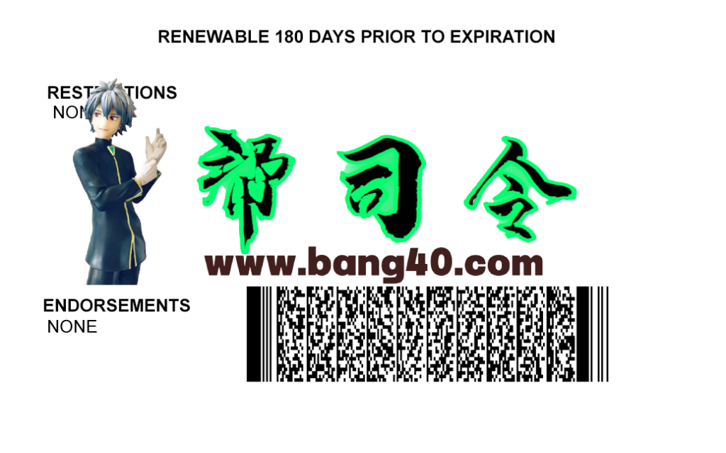 图片[2]-南达科他州驾照/驾驶证PSD/Photoshop/PS模板(打印版)