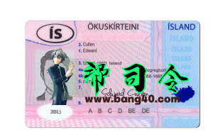冰岛驾照/驾驶证PS/PSD模板Icelandic driver's license PS/PSD template-帮司令