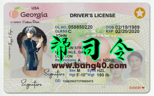 美国乔治亚州新版驾照/驾驶证PS/PSD模板New Georgia driver's license PS/PSD template-帮司令