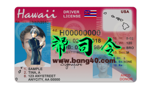 美国夏威夷驾照PSD模板 (V3)US Hawaii Driver's License PSD Template (V3)-帮司令