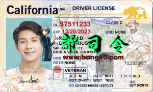 美国加利福利亚州新版驾驶证/驾照PSD模板（V4版）California New Driver's License PSD Template (V4 Version)-帮司令