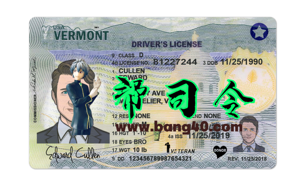 美国佛蒙特州Vermont DL新版驾驶证/驾照高质量PSD/PS模板（新版）